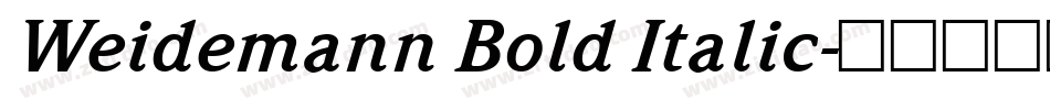 Weidemann Bold Italic字体转换